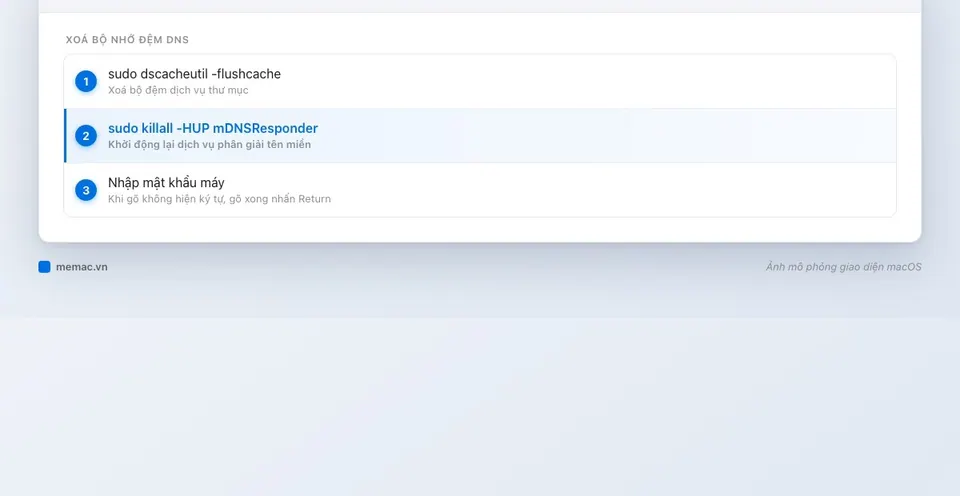 Lệnh flush DNS trên Mac trong Terminal: dscacheutil và killall mDNSResponder
