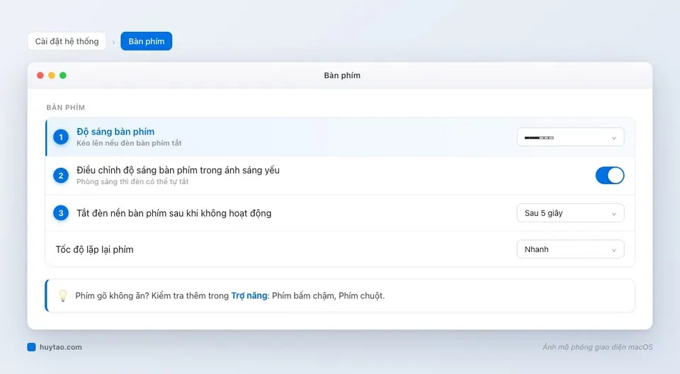 Các tuỳ chọn độ sáng bàn phím trong Cài đặt hệ thống Bàn phím của MacBook