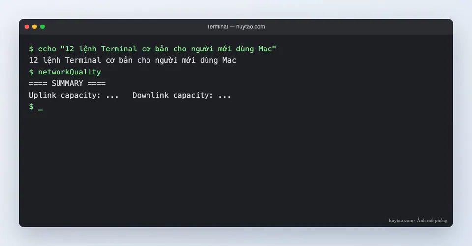 Terminal trên Mac: 12 lệnh cơ bản người mới nên biết